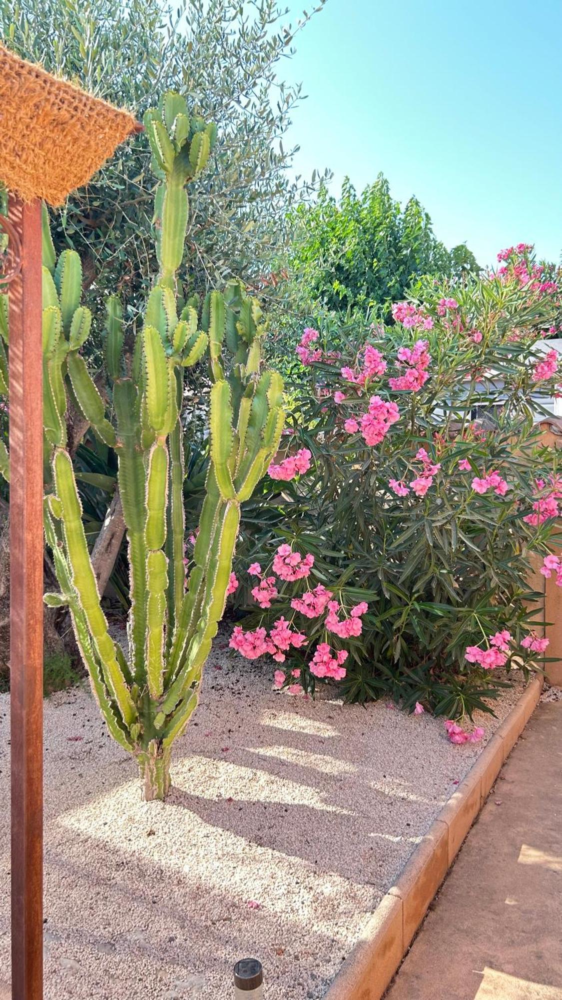 Gîte des Figuiers Roquebrune-sur Argens Extérieur photo