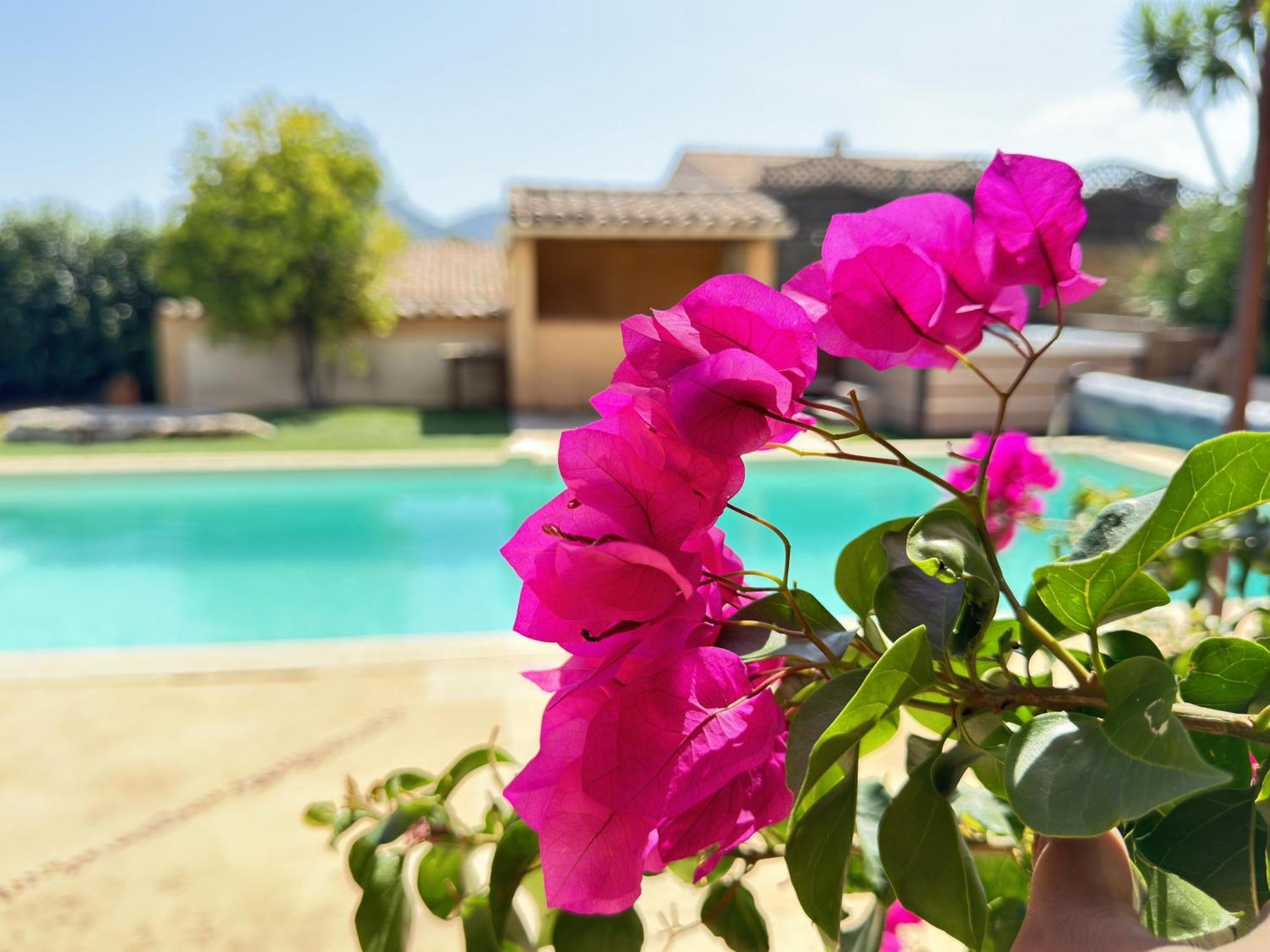 Gîte des Figuiers Roquebrune-sur Argens Extérieur photo