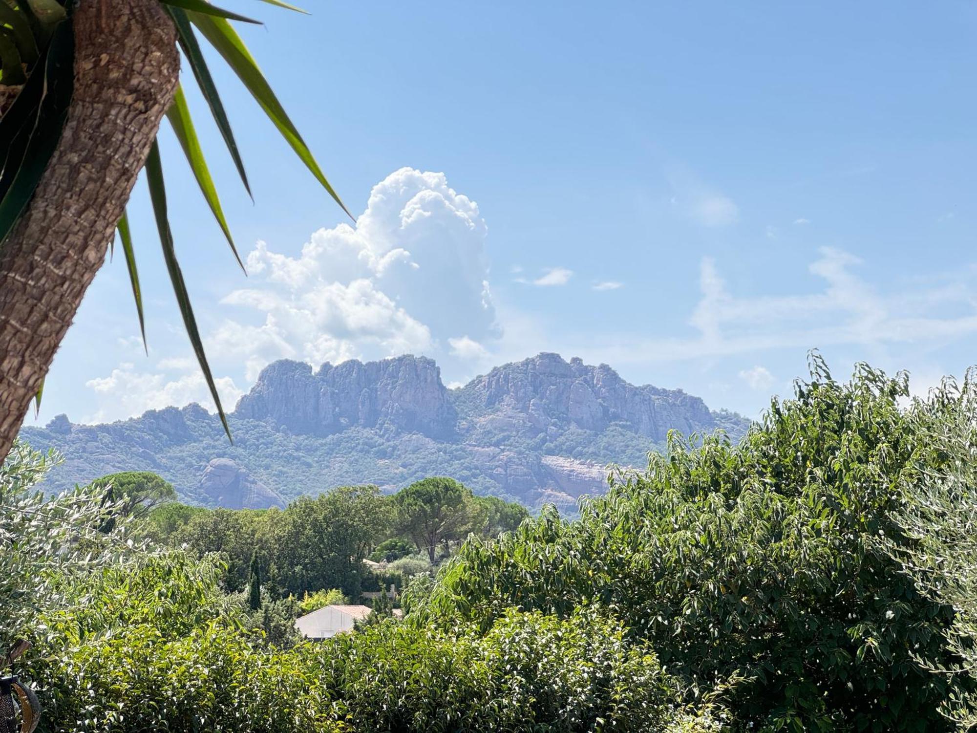 Gîte des Figuiers Roquebrune-sur Argens Extérieur photo